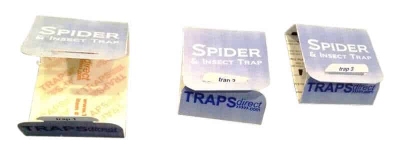 Smart Spider Trap