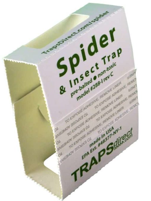 Spider Trap - 9 traps 3