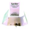 Spider Traps , bedbug and insect trap.