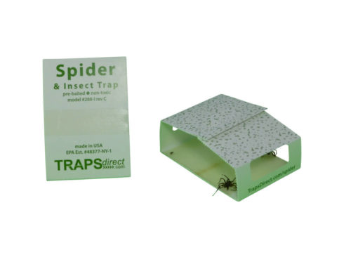 Organic Spider Trap using food grade molasses bait.