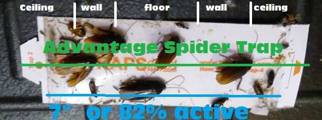 Advantage spider traps - 250% more active trapping surface.