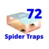 Spider Trap infestation brown recluse
