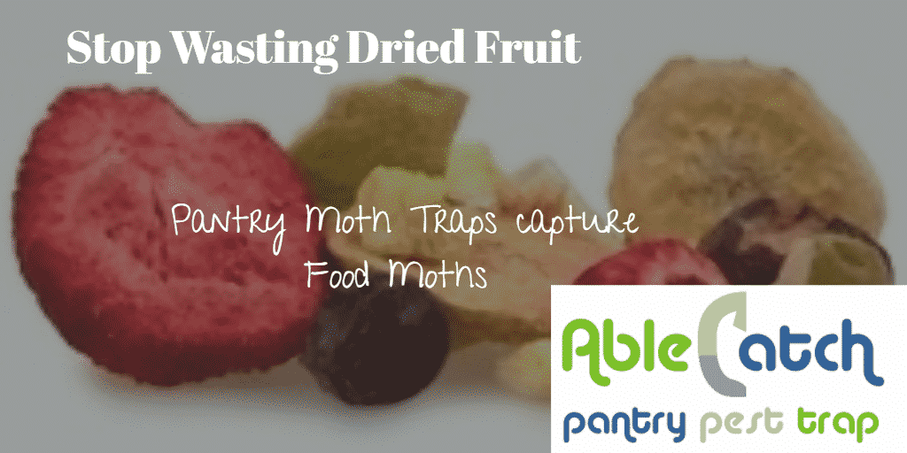 Pantry Moth Traps Dried Fruit